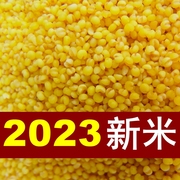 2斤2023年新黄小米农家小米新小黄米，宝宝成人月子米粗粮杂粮