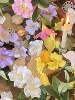 大自然的感觉田园自然风杜鹃花仿真花假花绢花装饰拍照mimiflower