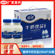 夏进酸牛奶饮品乳饮料瓶装营养乳品195ml*20瓶整箱儿童成长奶