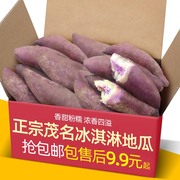 正宗广东茂名现挖冰淇淋地瓜10斤装紫薯新鲜板栗红薯番薯蜜薯山芋