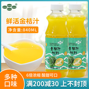鲜活金桔汁(金桔汁，)840ml鲜绿金桔柠檬浓缩果汁饮料，浓浆奶茶店专用原料