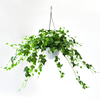 仿真爬山虎盆栽吊篮绿植装饰塑料，植物墙壁挂，室内吊兰假花藤条垂吊