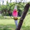 户外仿真金刚鹦鹉树上雕塑，花园景观创意挂件小鸟，庭u院动物装饰摆