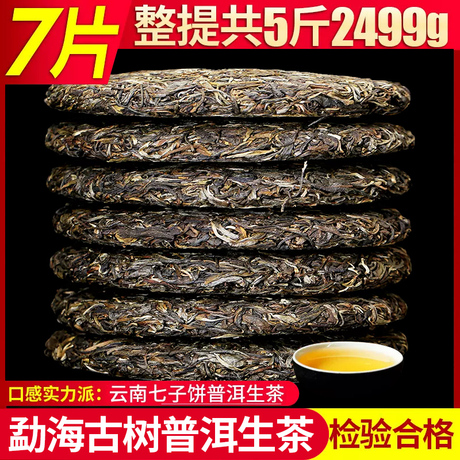 云南普洱七子饼茶生