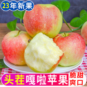 山西脆甜嘎啦苹果水果新鲜当季水果丑苹果整箱红富士现季带10十