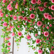 仿真玫瑰花网红瀑布墙壁假花空调管道装饰花藤条遮挡门头塑料藤蔓