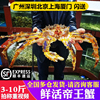 多仓鲜活帝王蟹海鲜水产特超大10斤皇帝长脚鳕俄罗斯螃蟹
