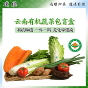 云南有机蔬菜组合套餐蔬菜，包装新鲜蔬菜，瓜类应季组合配送