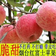 烟台苹果水果新鲜当季整箱，10斤吃货助农山东栖霞红富士冰糖心