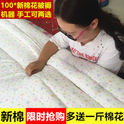 新疆棉被被芯10斤8斤6斤加厚保暖100%里外全棉天然纯棉花被冬被子