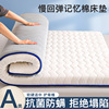 抗菌床垫软垫家用宿舍学生单人，加厚可折叠榻榻米，垫被褥子租房专用