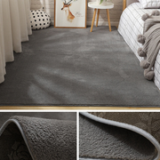 地毯卧室床边毯家用加厚房间满铺大面积可水洗地垫客厅地毯茶几毯
