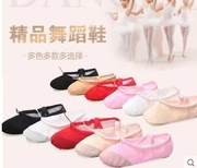 儿童成人舞鞋猫爪鞋女童芭蕾舞软底鞋中国形体练功瑜伽舞蹈鞋
