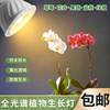 植物补光灯led全光谱射灯螺口E27灯泡室内盆景花卉专用绿植生长灯