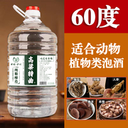 泸州60度纯粮食原浆老酒高粱，白酒浓香型散装高度泡酒大桶装五升