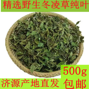 济源特产冬凌草中药材，纯叶500g咽喉草王屋山冬凌草，叶子冰冬凌茶