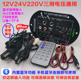 双话筒大功率蓝牙功放板12V24V220V低音炮音箱主板车载通用数字