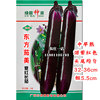 紫红长茄子种籽大全种孑种子，中早熟长，36cm头尾均匀采收期长深紫红
