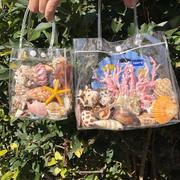 天然贝壳海螺礼盒套餐仿真珊瑚鱼缸水族造景儿童玩具礼物创意