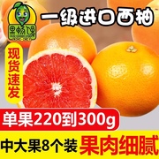 果畅馋南非红心西柚6-8个装葡萄柚子补叶酸单颗8两左右