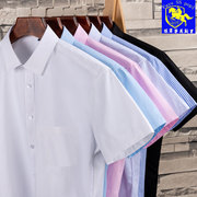 保罗高端工装纯色短袖衬衫男士夏季薄款职业商务，休闲寸条纹白衬衣(白衬衣)