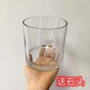简约水培玻璃花盆圆形，正方形透明郁金香种球摆件水养植物器皿花瓶