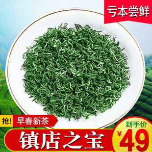 品牌绿茶2024新茶叶(新茶叶，)毛尖茶叶，高山云雾茶日照嫩芽罐装春茶1斤