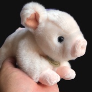 正版toyclub粉色小猪猪公仔毛绒玩具可爱小猪宝宝趴趴猪年吉祥物