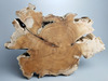 天然木根雕摆件枯木风化木陈化料底托底座，原木年轮木片居家装饰
