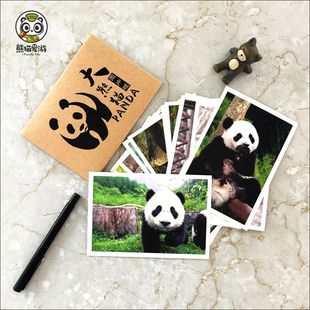 成都熊猫明信片套装，四川特色旅游景点写真基地，纪念品文创祝福卡片