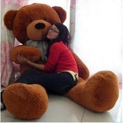 .工厂直发毛绒玩具，1米8大抱熊，泰迪熊布娃娃抱抱熊1.8米大号2米1.6