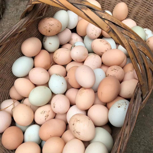 湖北农村鸡蛋新鲜40枚土，鸡蛋农家散养新鲜正宗柴笨草月子宝宝鸡蛋