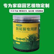 散尾葵专用肥料大型绿植盆栽，迷你富贵椰子室内客厅植物营养液花肥