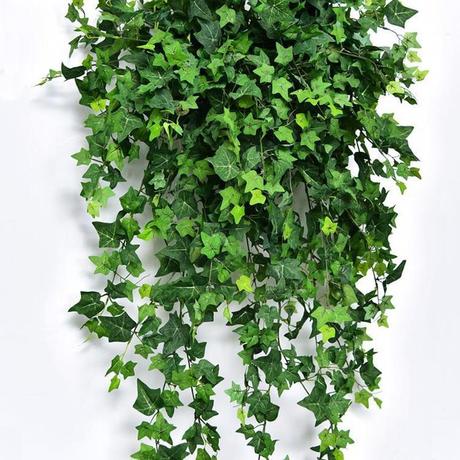 塑料爬山虎