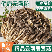 云南特产级鹿茸菇干货500g鹿茸菌新鲜脆脆菇煲汤食材香菇非野生