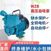 220v水泵家用自来水自吸增压泵全自动静音加压泵高扬程水井抽水泵