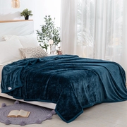 冬季珊瑚绒毛毯床单单件加绒加厚牛奶绒宿舍法兰绒床垫冬绒面被单