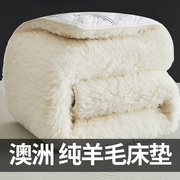 羊毛床垫软垫加厚保暖褥子双人家用垫褥垫被，冬季羊羔绒床垫子冬天