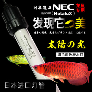 日本nec潜水龙鱼灯防水6700kt8三基色，鱼缸灯管水族金龙鱼增色专用