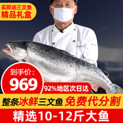 三文鱼整条 挪威进口12斤日料寿司新鲜生鱼片冰鲜三文鱼刺身