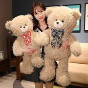 泰迪熊公仔抱抱熊女生睡觉毛绒玩具小熊玩偶布娃娃儿童生日礼物