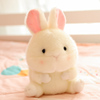 可爱小白兔子毛绒玩具兔兔公仔，挂件女孩抱睡觉小号玩偶生日礼物女