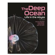 预 售深海中的生命 The Deep Ocean Life in the Abyss英文社会科学 原版图书进口书籍 Michael Vecchione Louise Allco