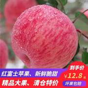 山东红富士苹果水果，新鲜当季整箱，烟台栖霞苹果10斤价