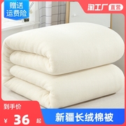 新疆棉花被棉被芯棉絮 垫被全棉被子棉胎 加厚被褥冬被保暖单人被