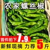 螺丝椒新鲜现摘青色青尖辣椒，当季农家蔬菜青椒，泡椒剁椒5斤青陇椒