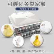 新56a枚小型全自动孵化器家用型孵化机鸡鸭鹅孵蛋机定制品