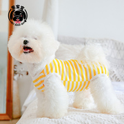 黑宝宝小狗狗衣服包肚子(包肚子，)夏季薄款泰迪，衣服比熊宠物服装全棉夏天