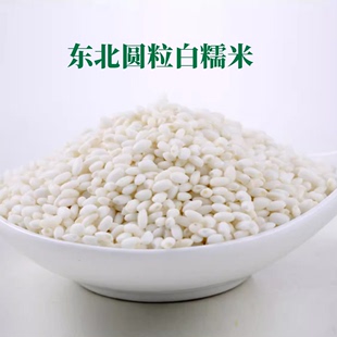 2023年 东北粘大米 糯米 农家自产 江米 粘大米 自家种植500克