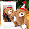 生日帽礼物小熊玩偶泰迪熊公仔，毛绒玩具可爱熊娃娃(熊娃娃)生日礼物送女友